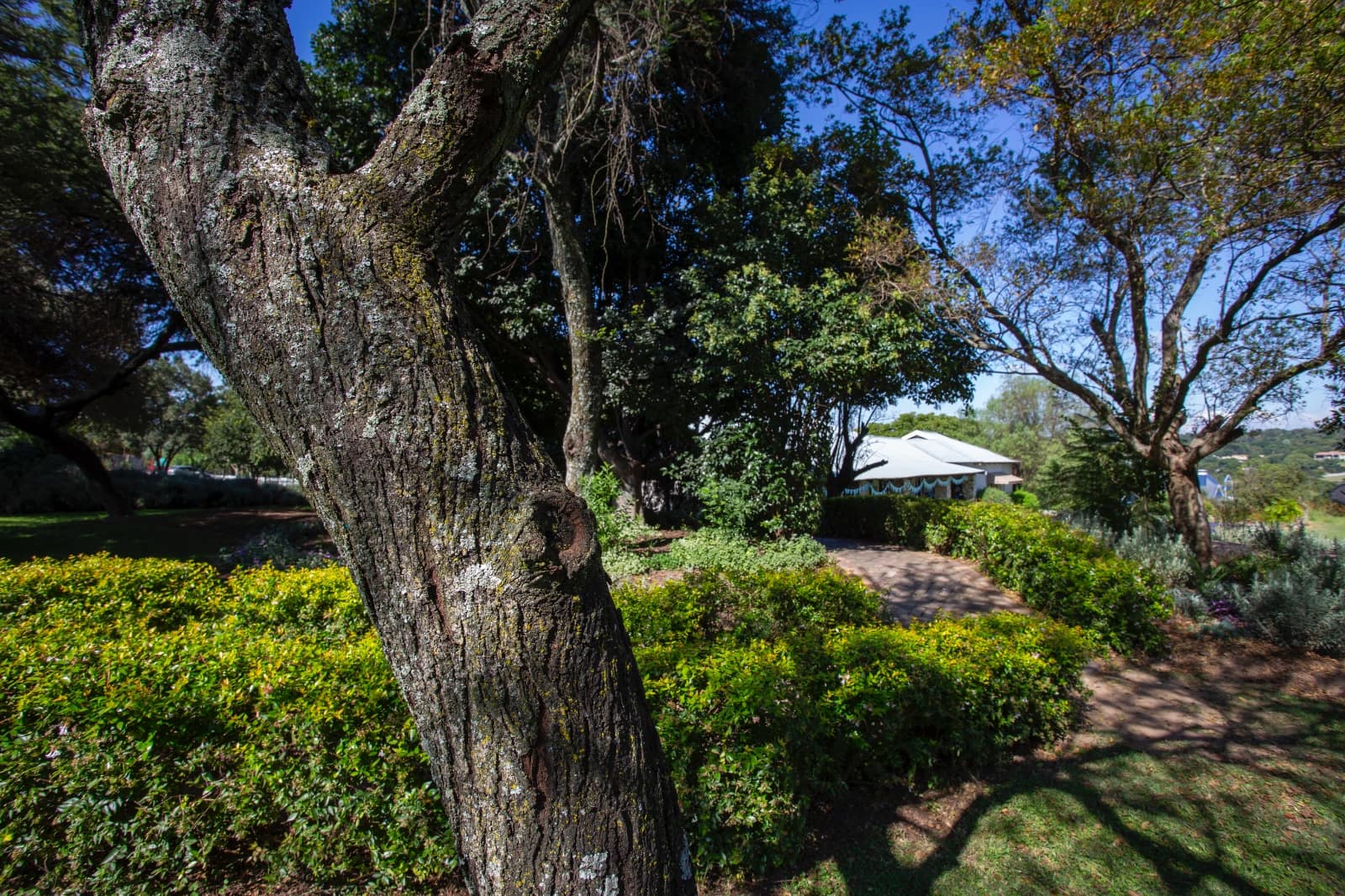 Chartwell House Eco School campus