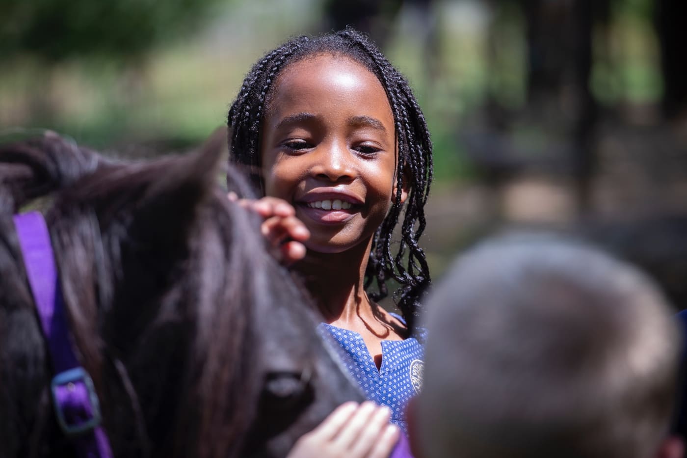 Horse Riding & Animals — photo 3