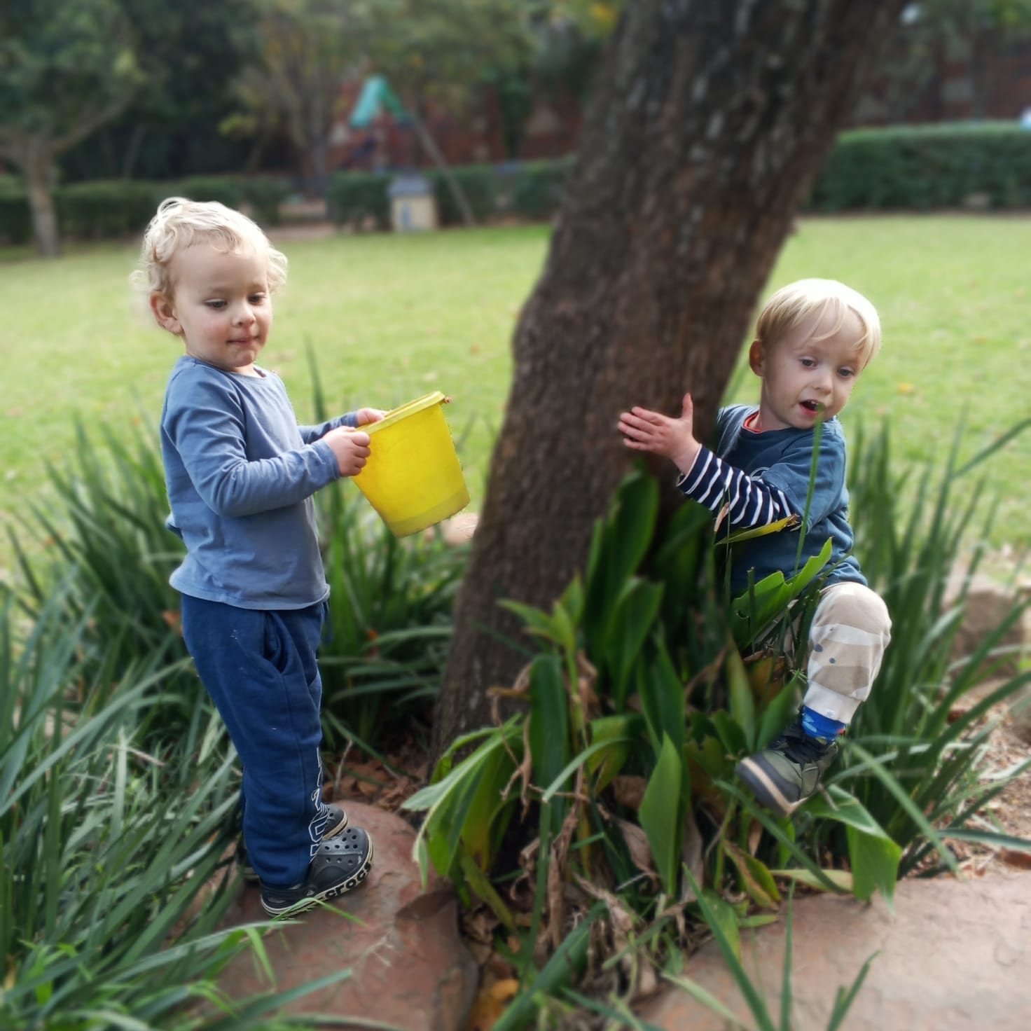 Singing Forest Eco School — photo 10